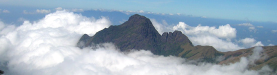 The Mystic Peak The Mystic Peak